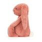 Bashful Sorrel Bunny, medium