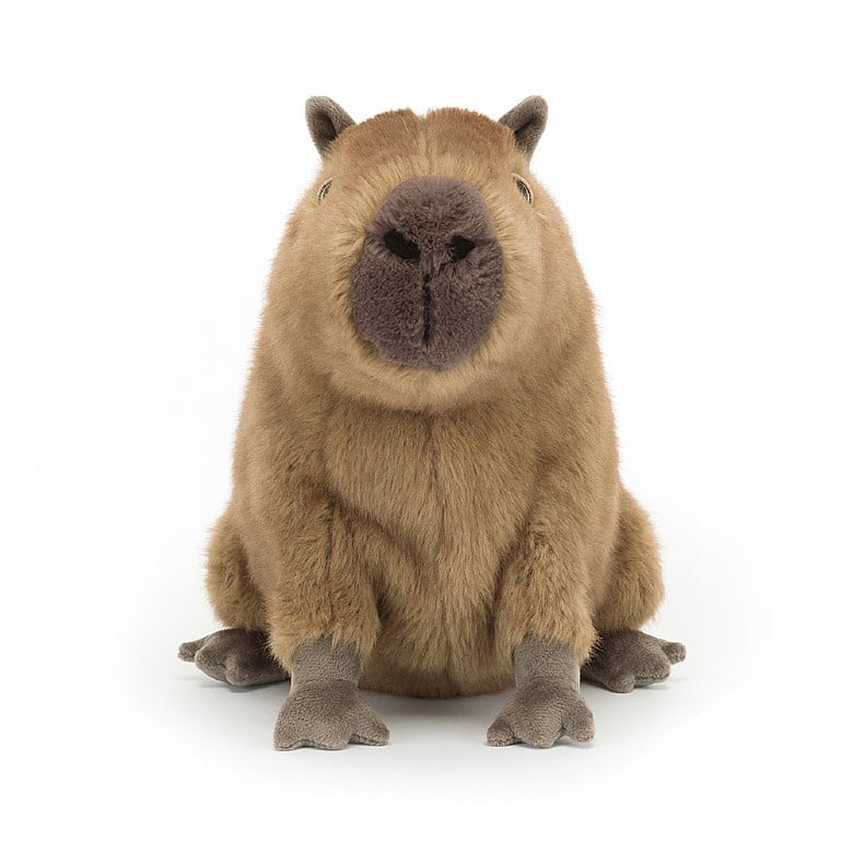 Das Capybara von Jellycat Frontansicht.