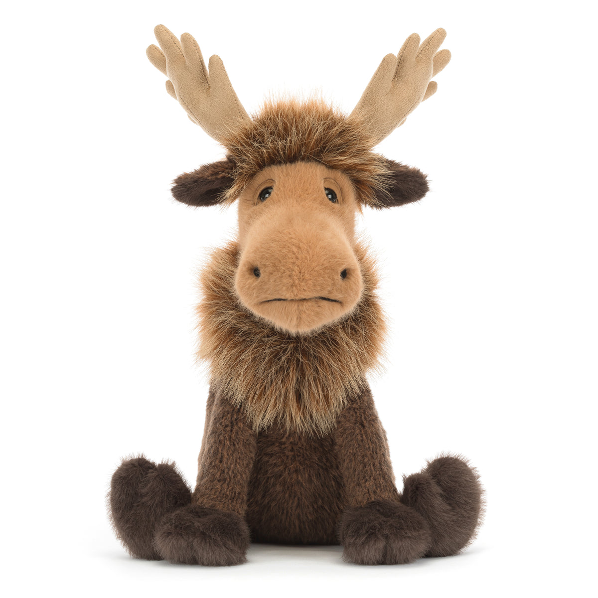 Jellycat Birchly Moose – brauner Kuschelelch mit großem beigefarbenem Geweih, flauschiger Mähne, langer Schnauze und großen Plüschfüßen, von vorne.
