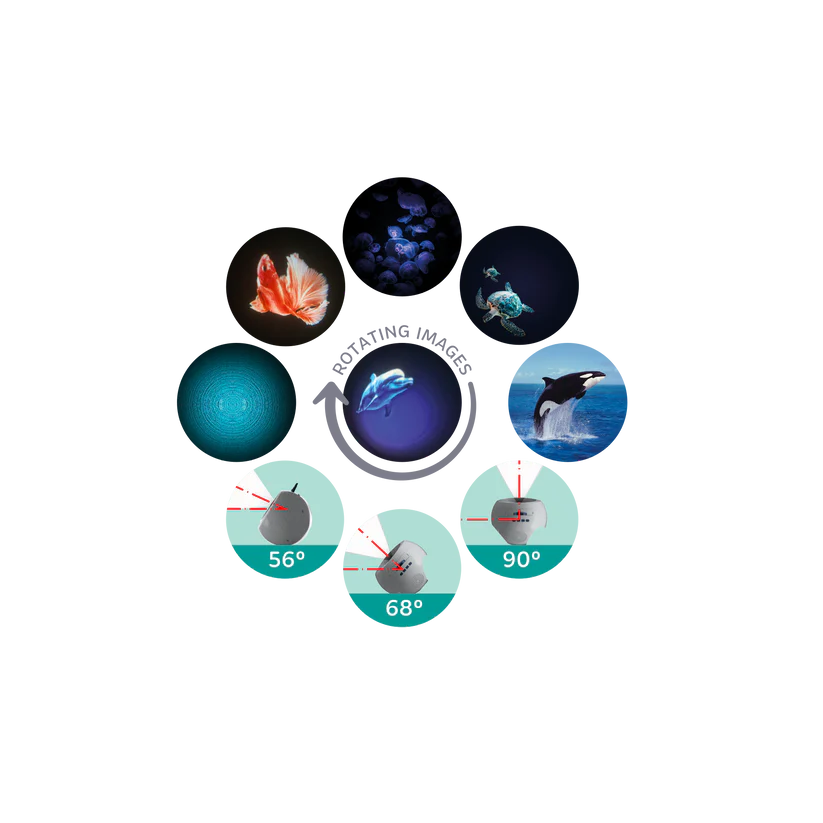 KIDYSTAR Planetarium Ozean – Projektor mit 6 Bildscheiben, Nachtlicht und Bluetooth fürs Kinderzimmer