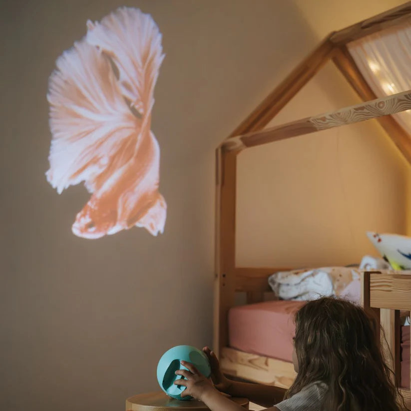 KIDYSTAR Planetarium Ozean – Projektor mit 6 Bildscheiben, Nachtlicht und Bluetooth fürs Kinderzimmer