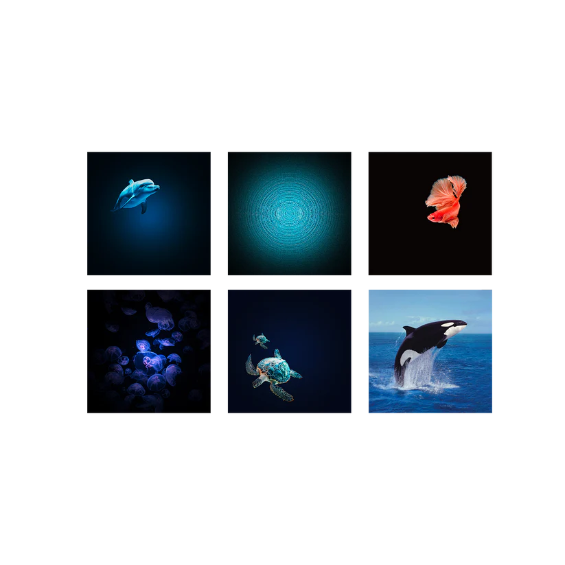 KIDYSTAR Planetarium Ozean – Projektor mit 6 Bildscheiben, Nachtlicht und Bluetooth fürs Kinderzimmer