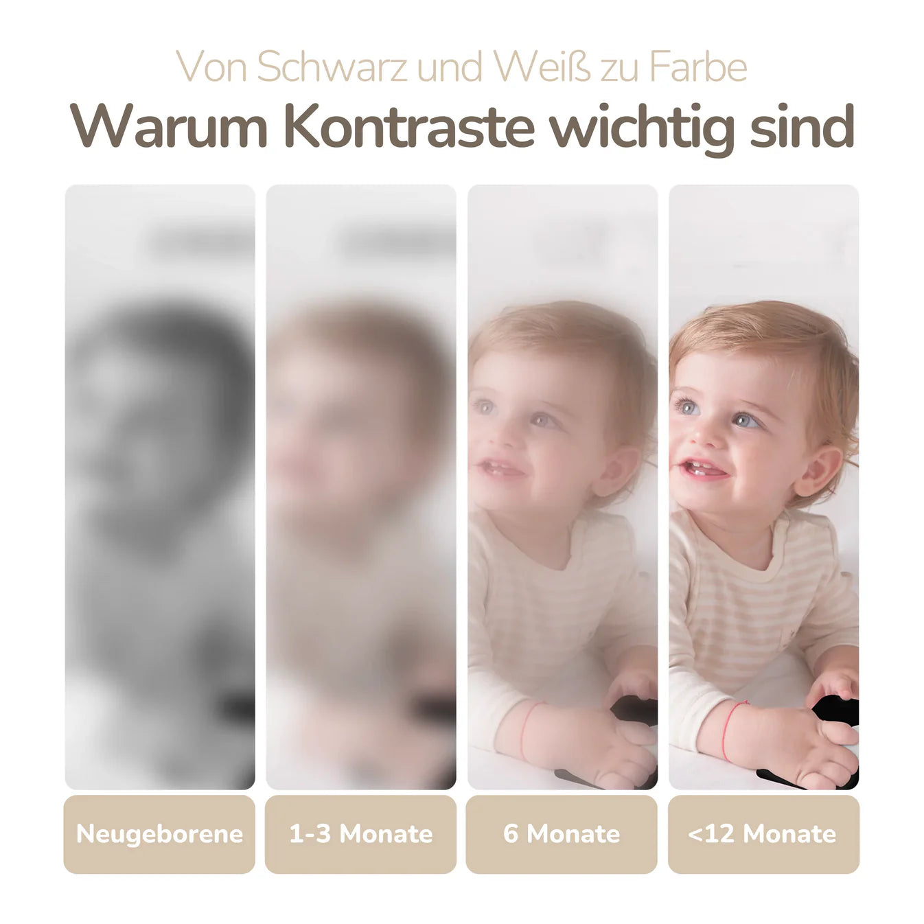 Kontrastkarten mit Entdeckerbuch