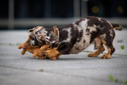 Santa Sausage Weihnachtsdackel - Hundespielzeug