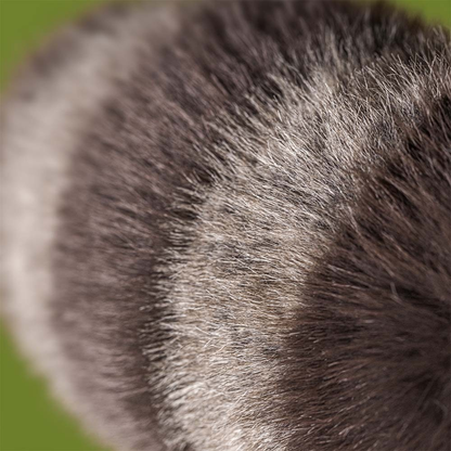 Jellycat Trixiwoo Raccoon Kuscheltier Waschbär mit neugierigem Blick süßes weiches Plüschtier