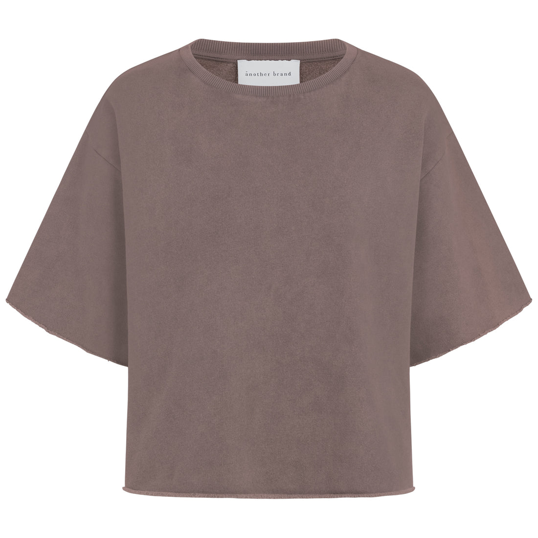 Vorderansicht: Sweatshirt in verwaschenem Braun mit pinker „Hi!“-Stickerei am Nacken und kurzen Ärmeln. Ärmel und Saum rollen sich leicht ein.