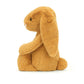 `Bashful Golden` Bunny, Medium